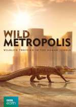 Watch Wild Metropolis Solarmovie