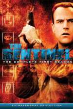 the sentinel tv poster