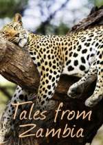 Watch Tales from Zambia Solarmovie