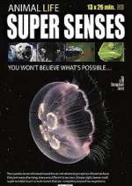 Watch Super Senses Solarmovie