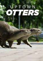 Watch Uptown Otters Solarmovie