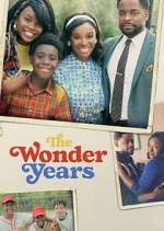 the wonder years tv poster