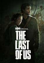 the last of us tv poster