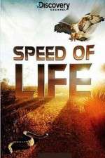 Watch Discovery Channel Speed Of Life Solarmovie
