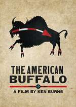 Watch The American Buffalo Solarmovie